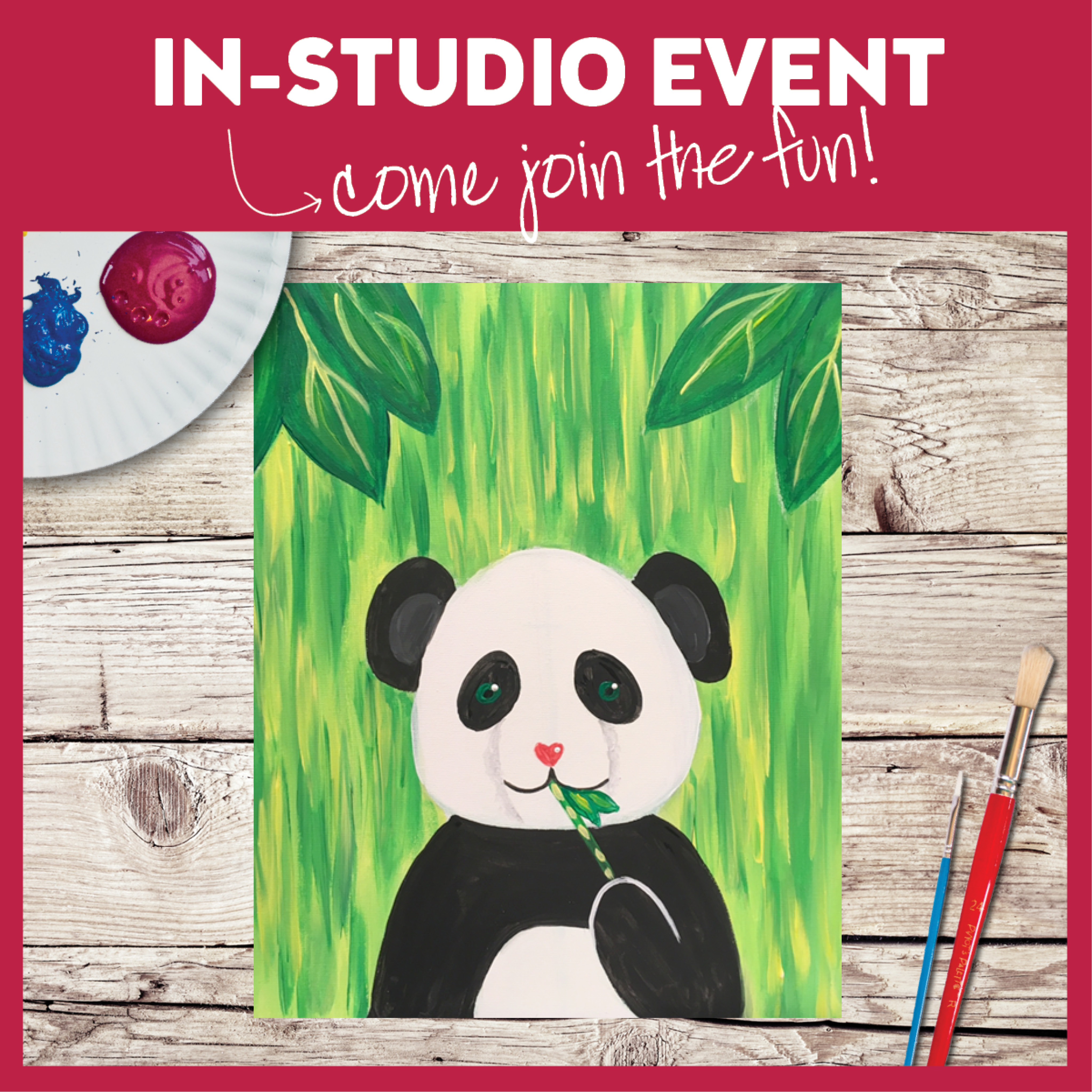 Animal Adventures Summer Camp